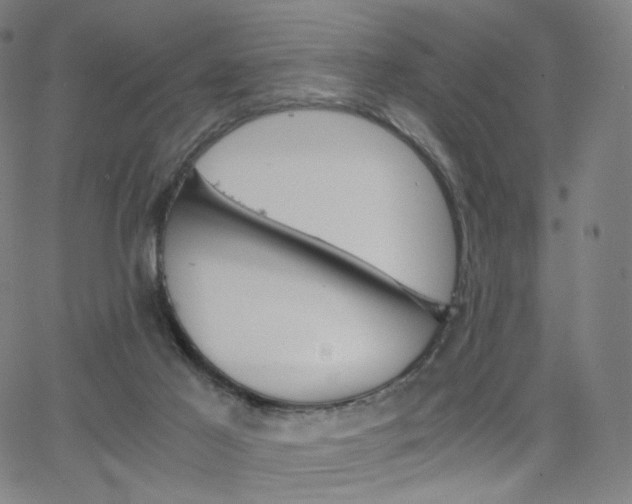 X0000063460021200601201257