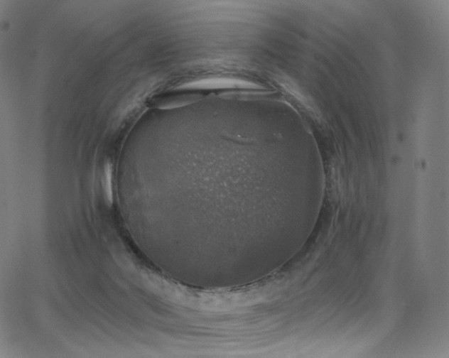 X0000063460022200601201257