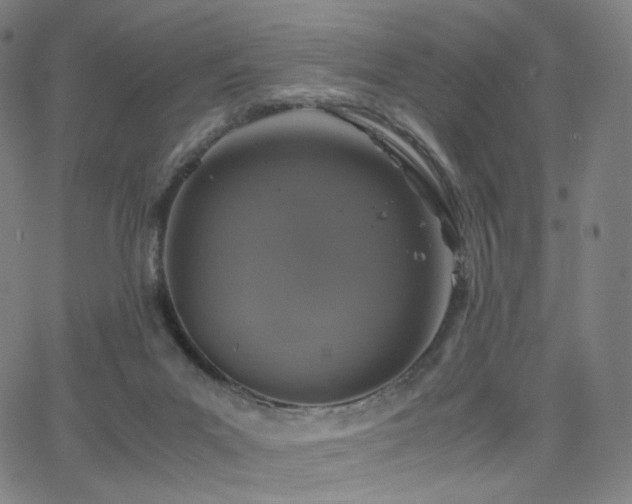 X0000063460023200601201257