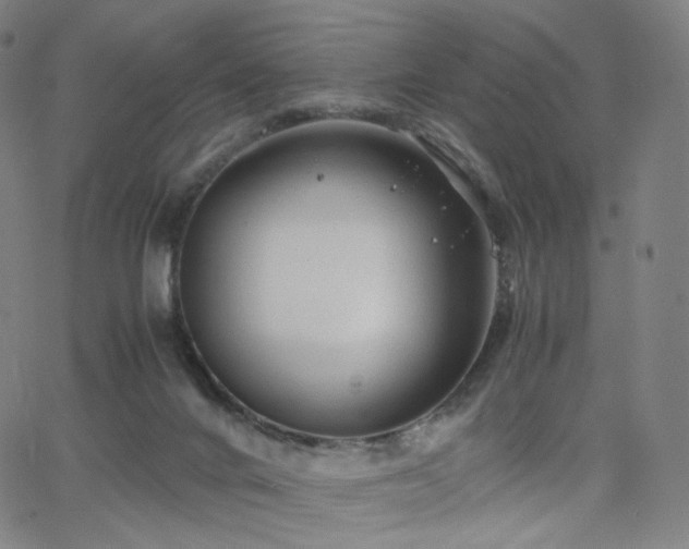 X0000063460024200601201257