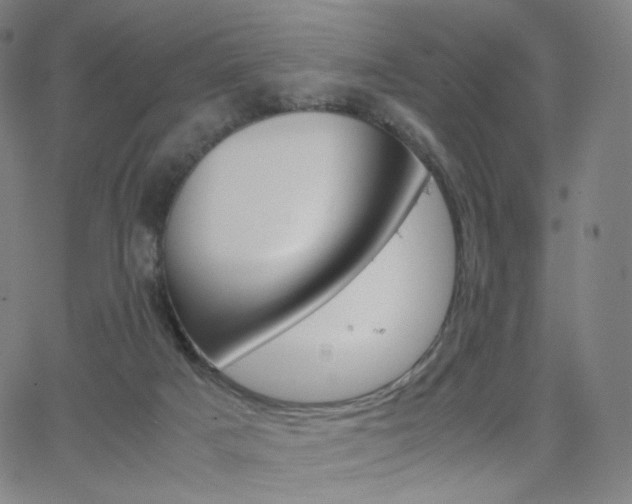 X0000063460025200601201257