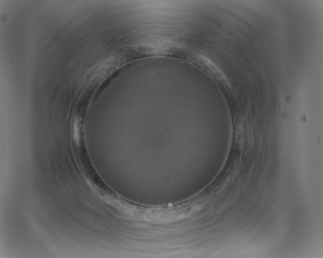 X0000063460026200601201257