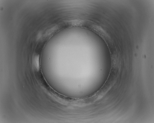 X0000063460028200601201257