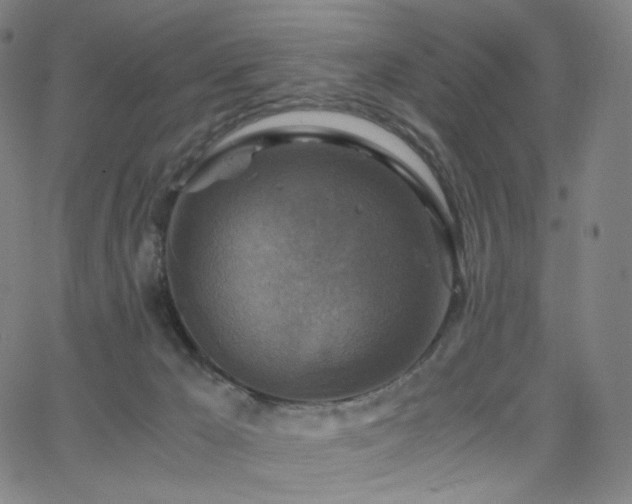 X0000063460029200601201257