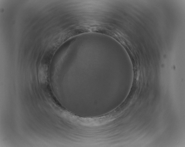 X0000063460030200601201257