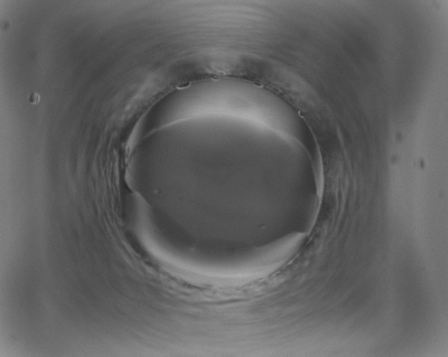 X0000063460031200601201257