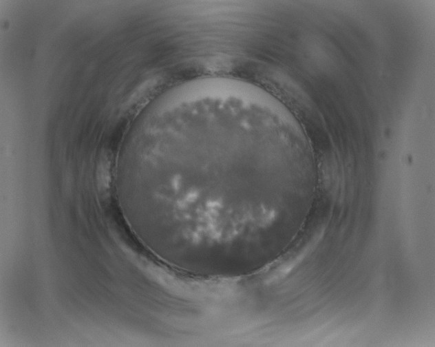 X0000063460032200601201257