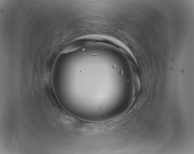 X0000063460033200601201257