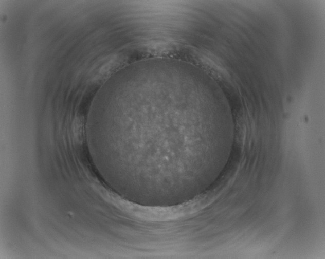 X0000063460034200601201257