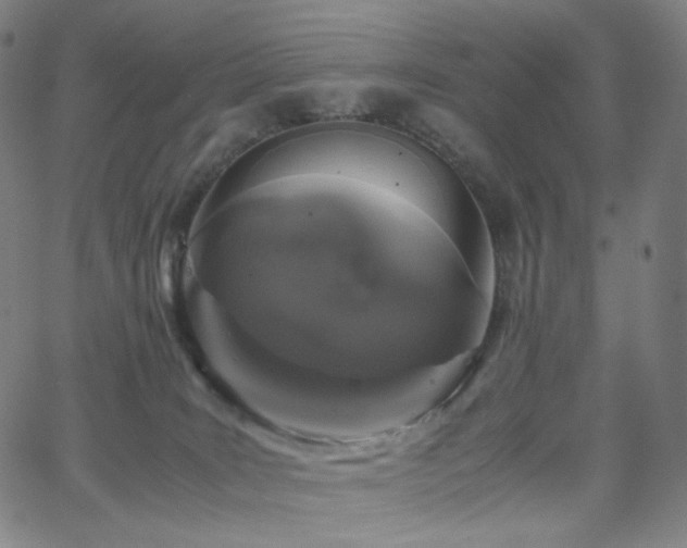 X0000063460035200601201257