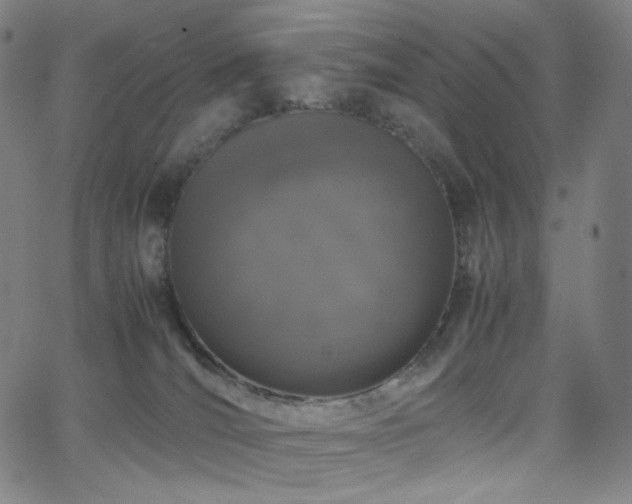 X0000063460036200601201257