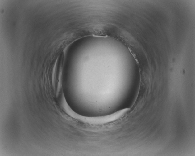 X0000063460037200601201257