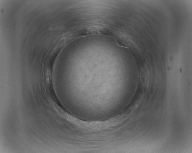 X0000063460038200601201257