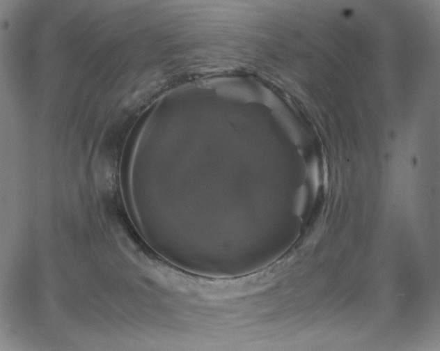 X0000063460039200601201257