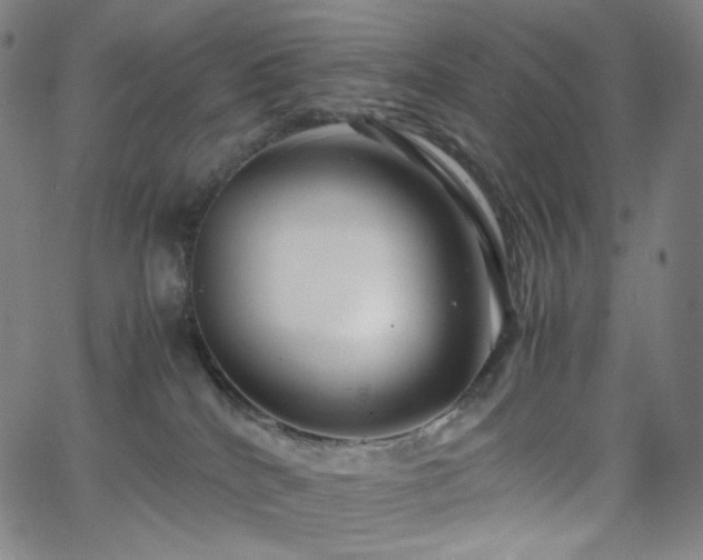 X0000063460040200601201257