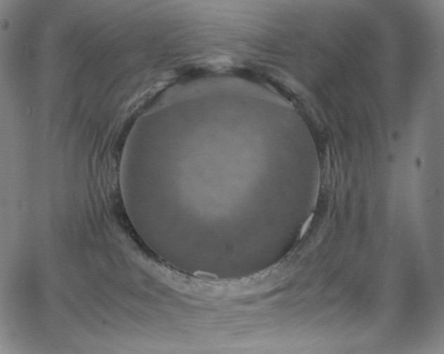 X0000063460043200601201257