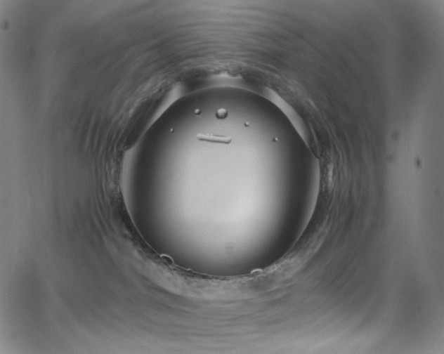 X0000063460044200601201257