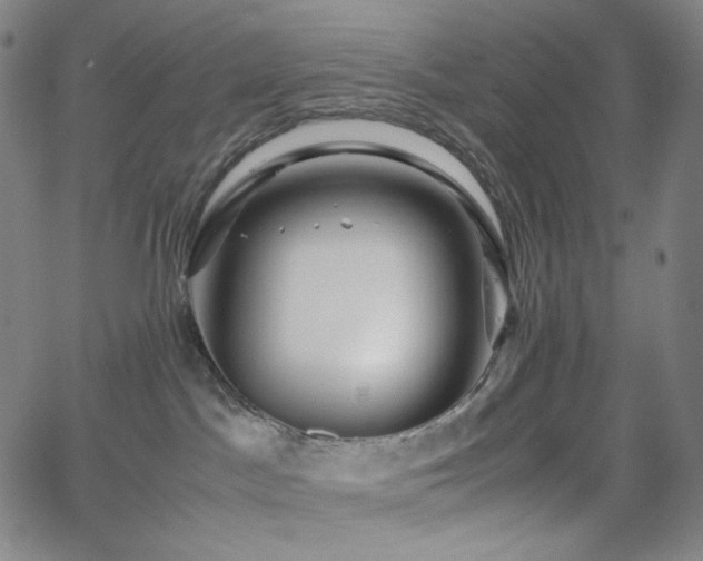 X0000063460045200601201257