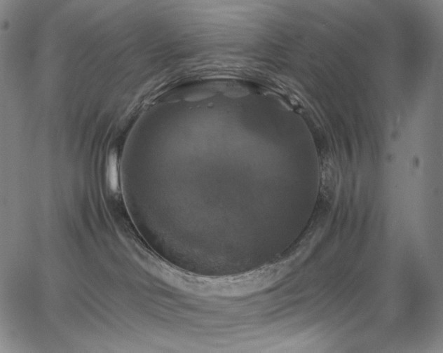 X0000063460046200601201257