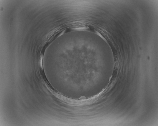 X0000063460047200601201257