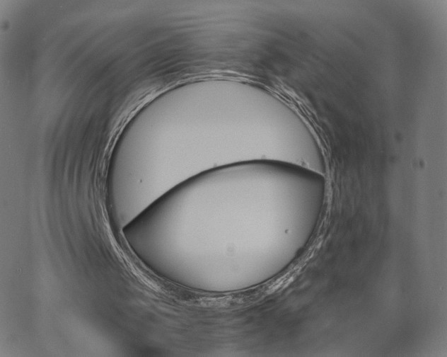 X0000063460049200601201256