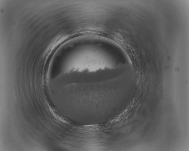 X0000063460050200601201256