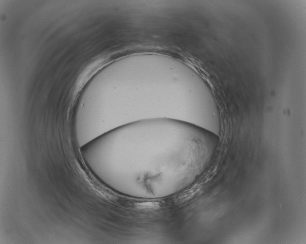 X0000063460053200601201256