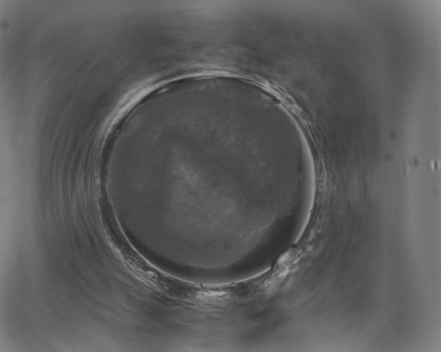 X0000063460055200601201256