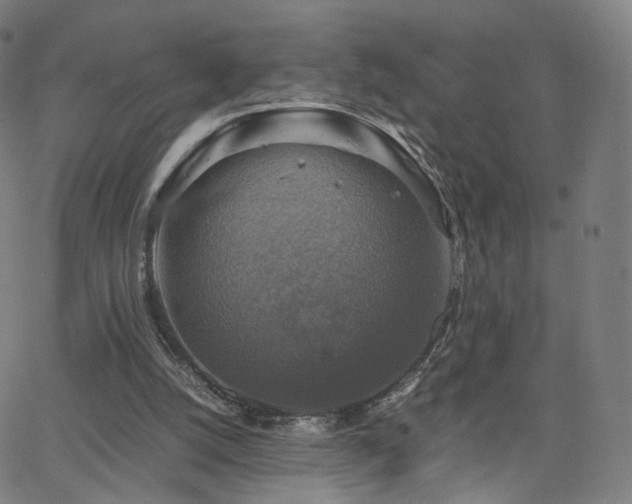 X0000063460056200601201256