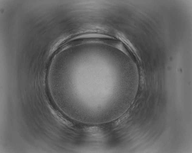 X0000063460058200601201256