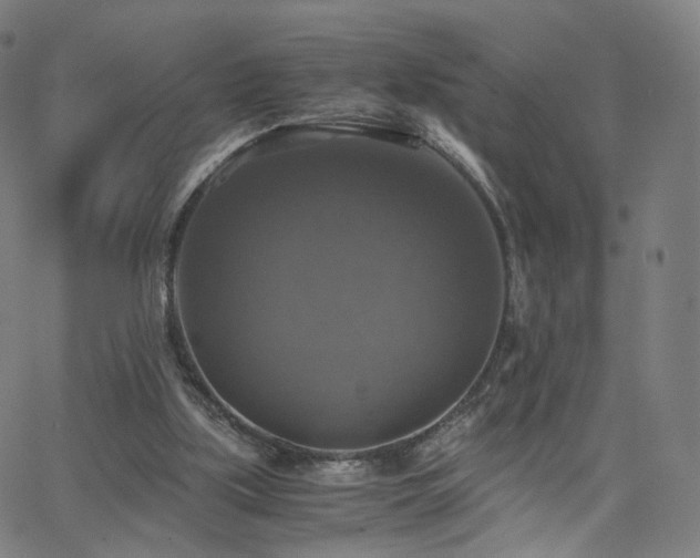 X0000063460059200601201256