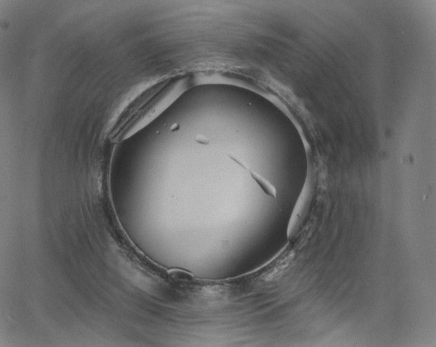 X0000063460060200601201256