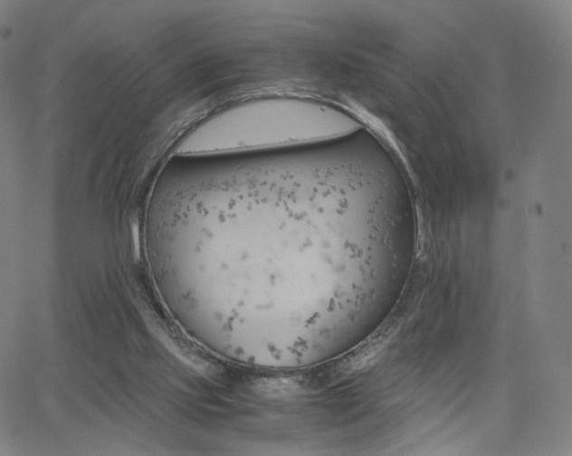 X0000063460061200601201256