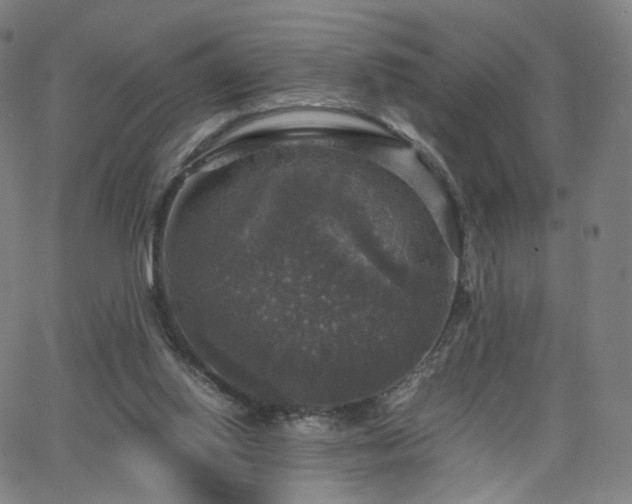 X0000063460062200601201256