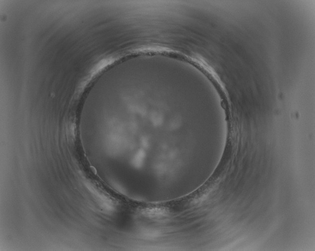 X0000063460063200601201256