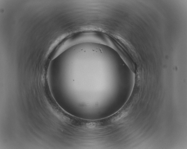 X0000063460064200601201256