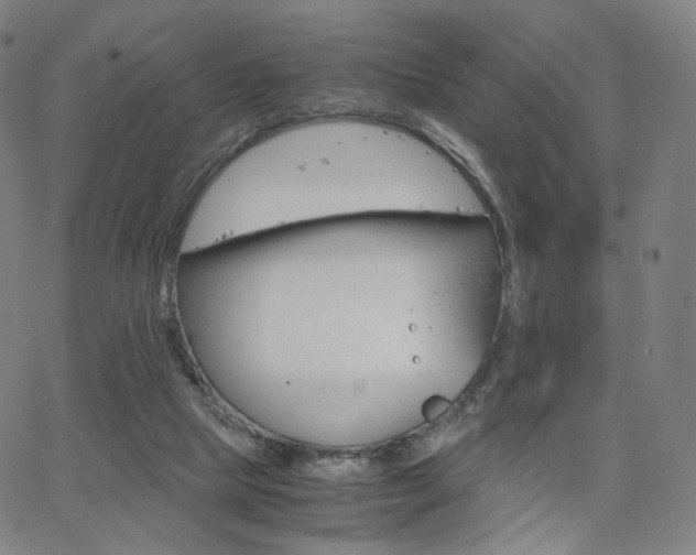 X0000063460065200601201256