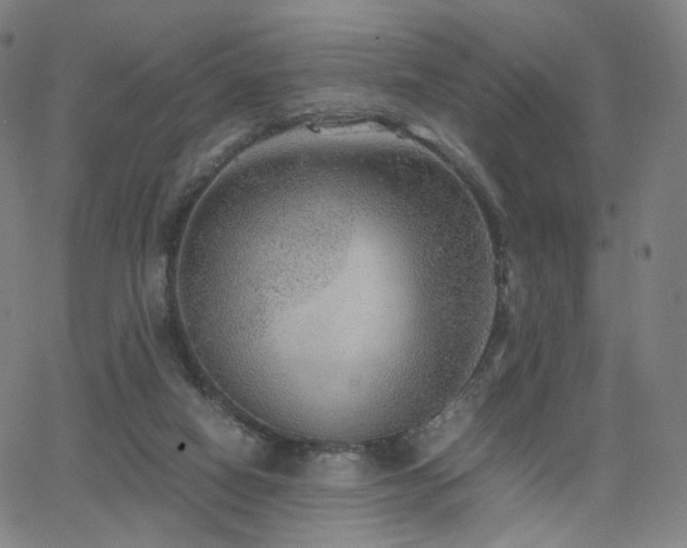 X0000063460066200601201256