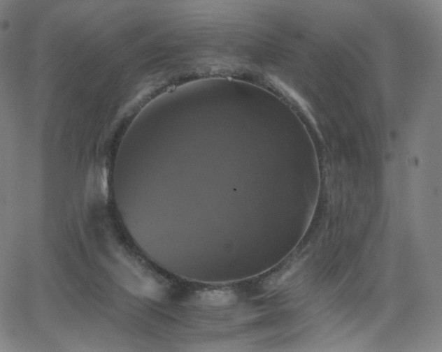 X0000063460067200601201256