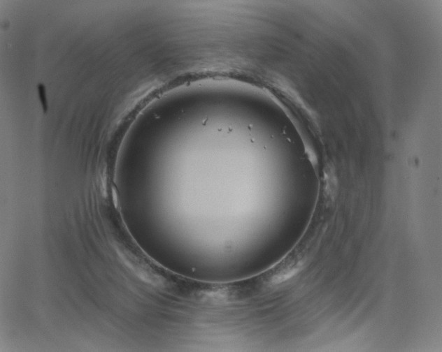 X0000063460068200601201256