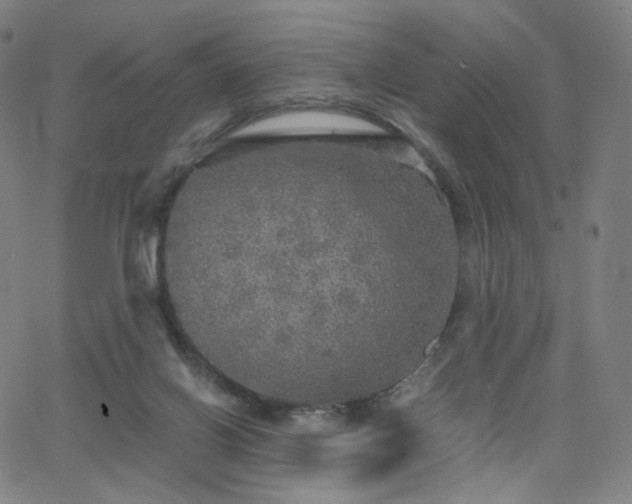 X0000063460070200601201256