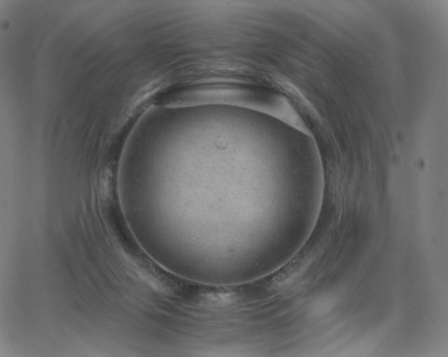 X0000063460071200601201256