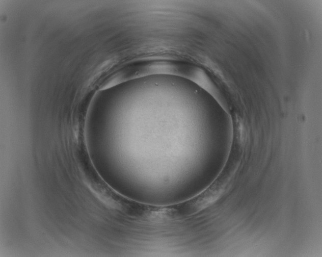 X0000063460072200601201256