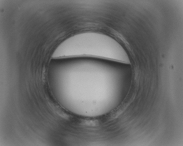 X0000063460073200601201256