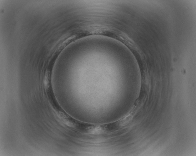 X0000063460074200601201256