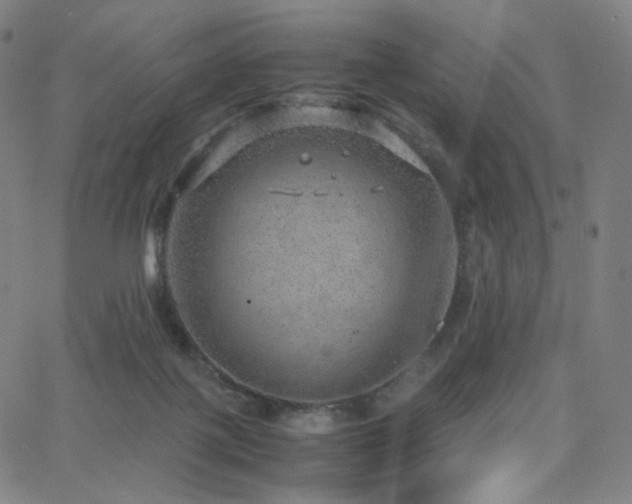 X0000063460075200601201256