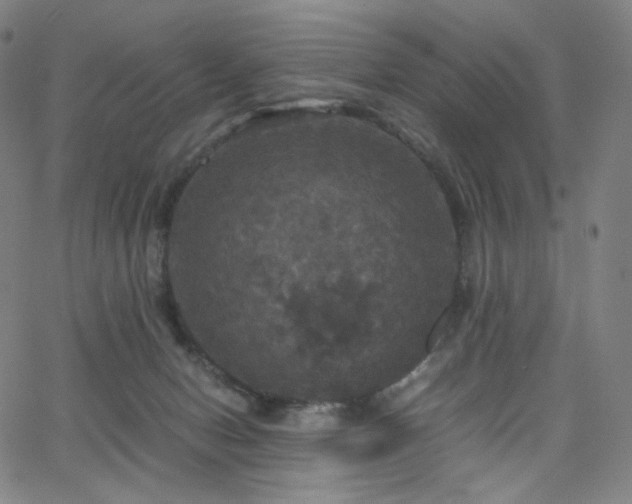 X0000063460078200601201256