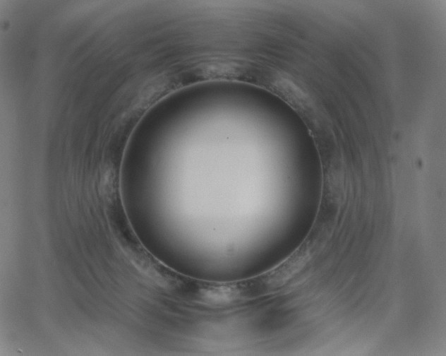 X0000063460079200601201256