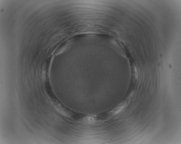 X0000063460080200601201256