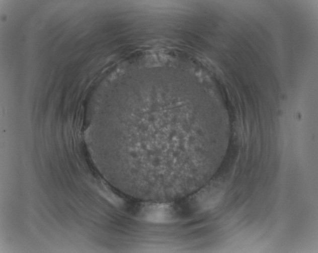 X0000063460081200601201256